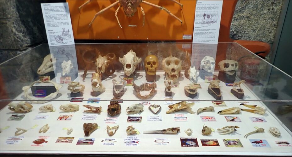 Inauguratu berri den erakusketaren erakusketa Mañariko museoan