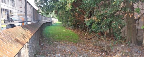 Bide berde bihurtuko den espazioaren irudia