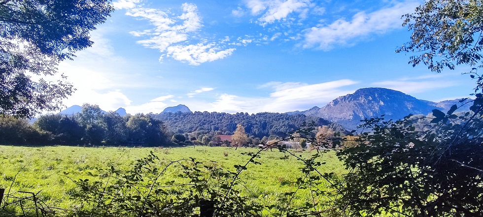 Atzo baino hodei gehiago espero dira